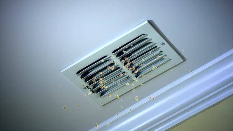 Best HVAC Duct Inspection Services  in Genesee, ID