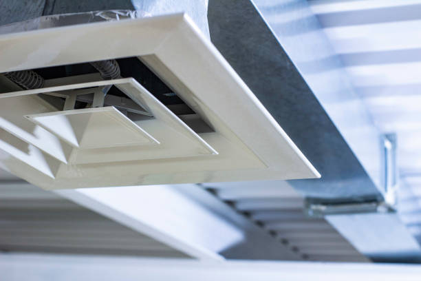 Air Duct Mold Removal in Genesee, ID