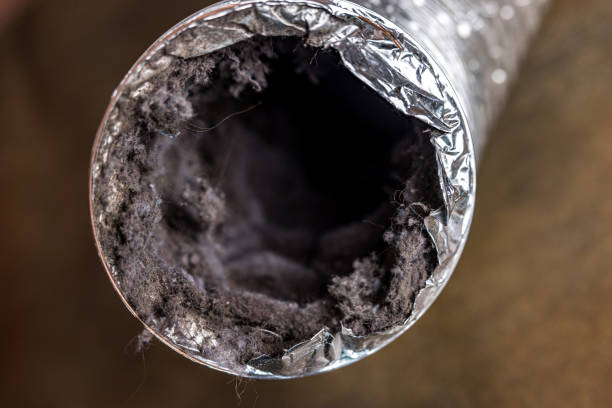 Best Air Duct Cleaning Near Me  in Genesee, ID